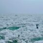 Icy Reception